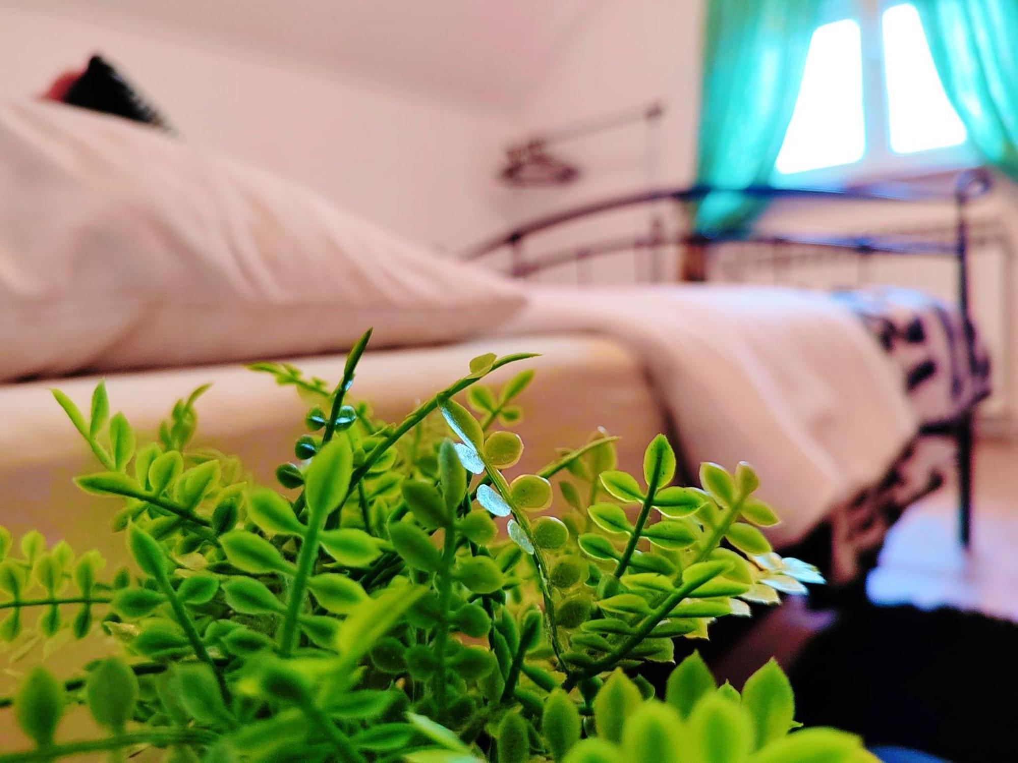 Zagreb, Apartman Jezz Dış mekan fotoğraf